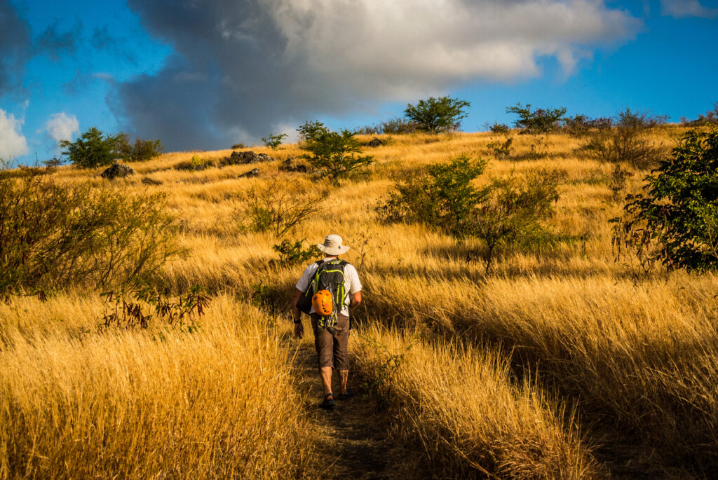 A climber crosses the Reunion savannah to access a climbing site in Saint-Gilles-les-Hauts.